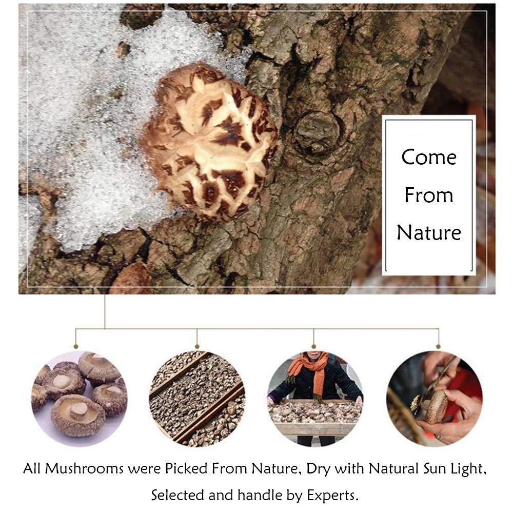 FUYUKI Dried Mushrooms Dried Shiitake Mushrooms Dehydrated Mushrooms 16 oz., 4-5cm Premium Top Grade Shiitake Mushrooms Wild Grade AAA Natural Grown Mushroom
