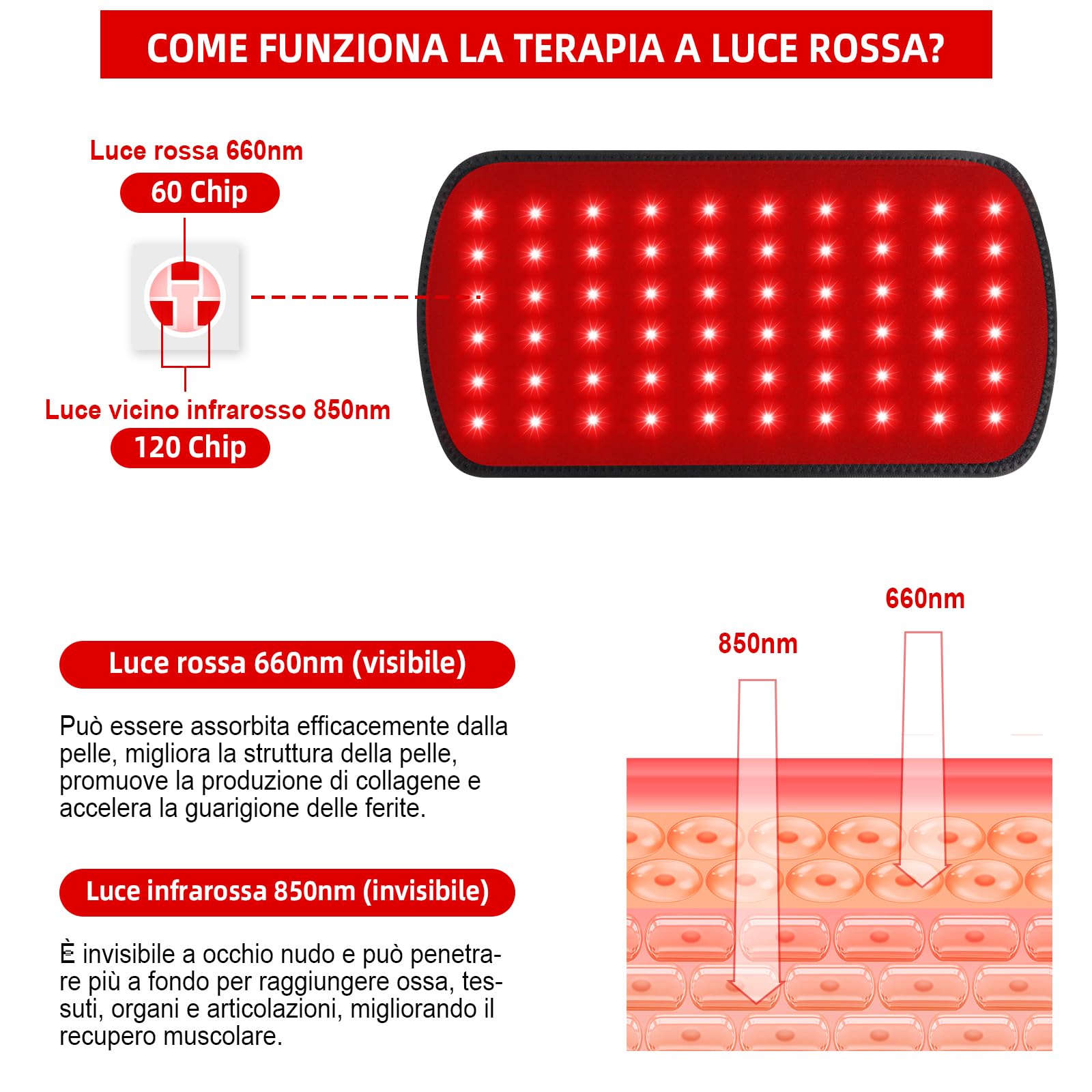 Fascia Terapia a Luce Rossa, Luce Infrarossa Corpo, LED Triple-Chip 660nm 850nm, Fascia Riscaldante Schiena e Ginocchia, Dispositivo Portatile, Regalo Benessere Uomo Donna