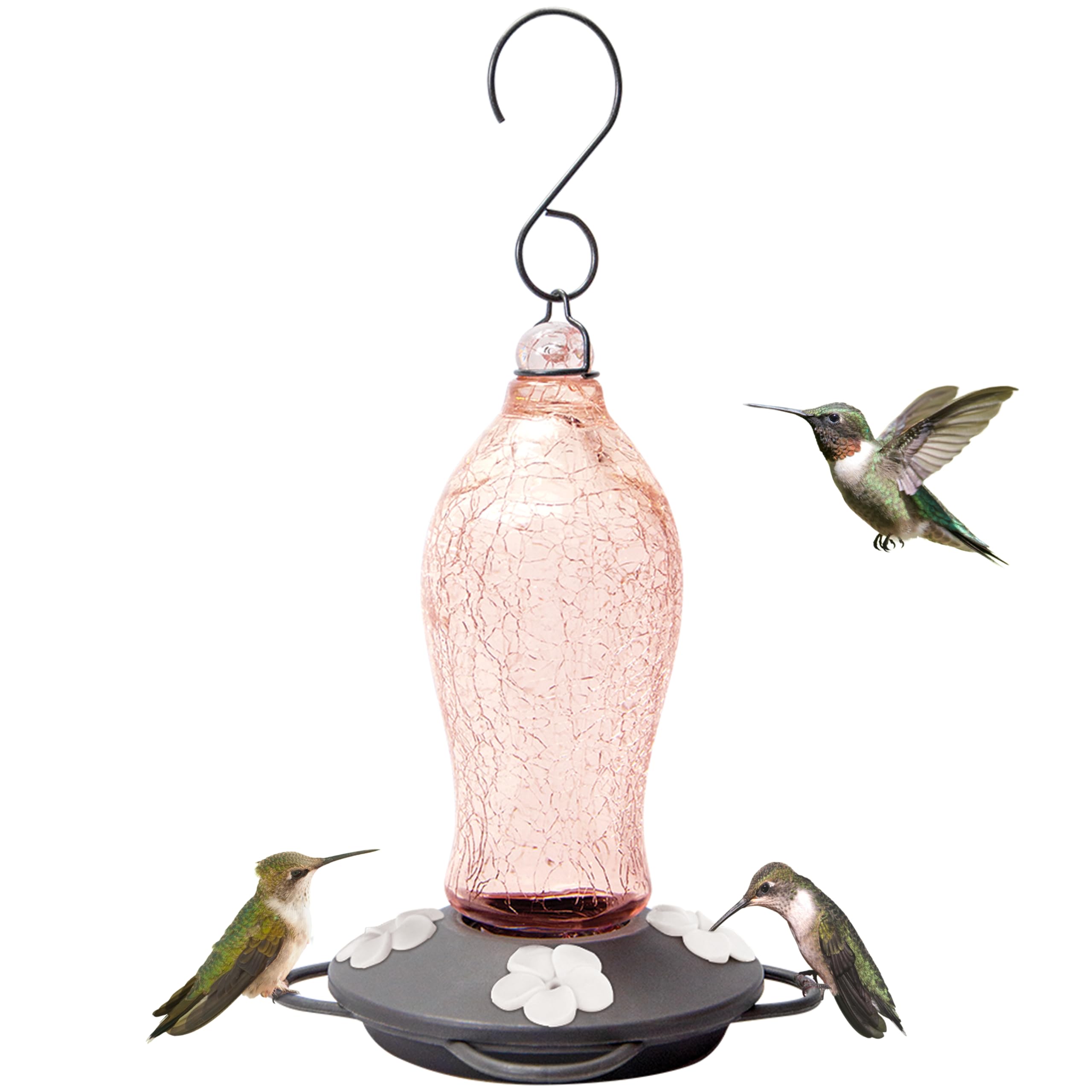 Amazon.com : Nature's Way Bird Products AGF1 Artisan Gravity Blush