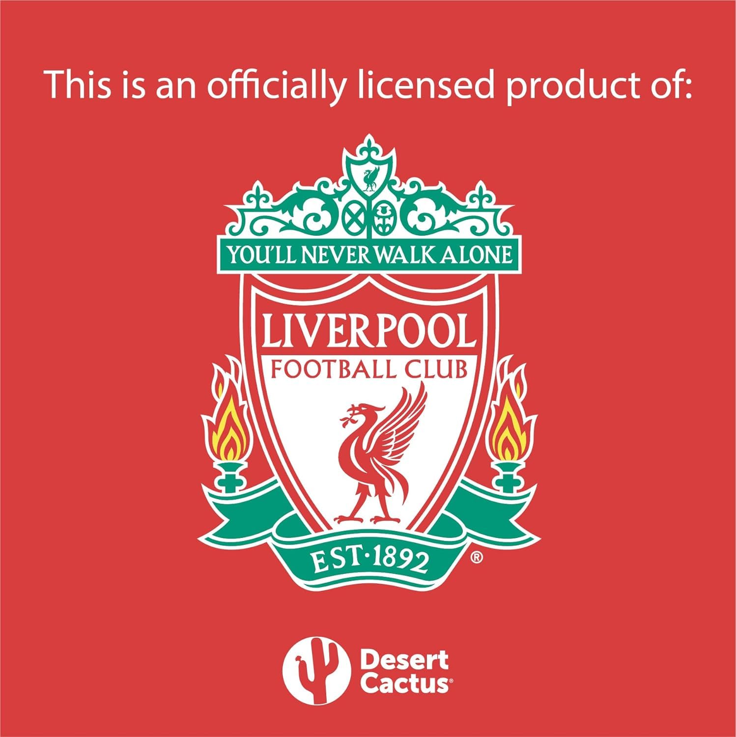 Liverpool FC Flagge, Fußballclub, Premier League, 100 % Polyester, für drinnen und draußen, 91 x 152 cm (Flagge E)
