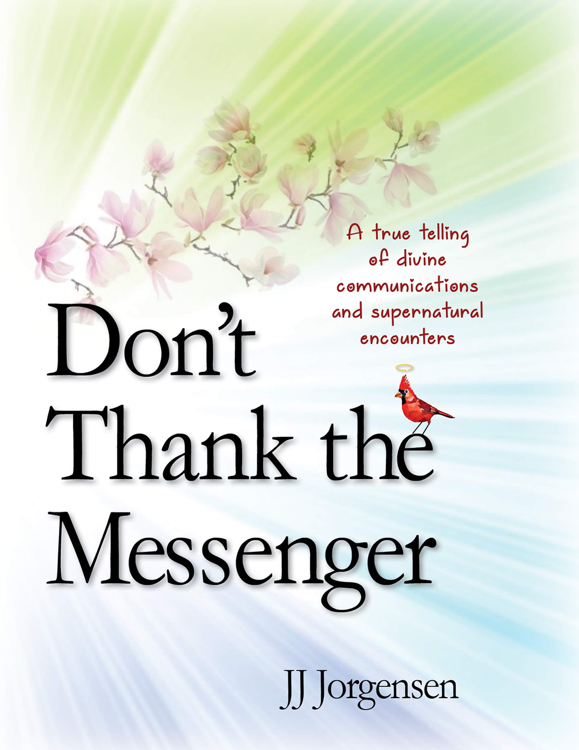 DON'T THANK THE MESSENGER: A non-fiction account of divine communications and supernatural encounters