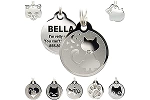 Personalized Kitty Stainless Steel Cat ID Tag