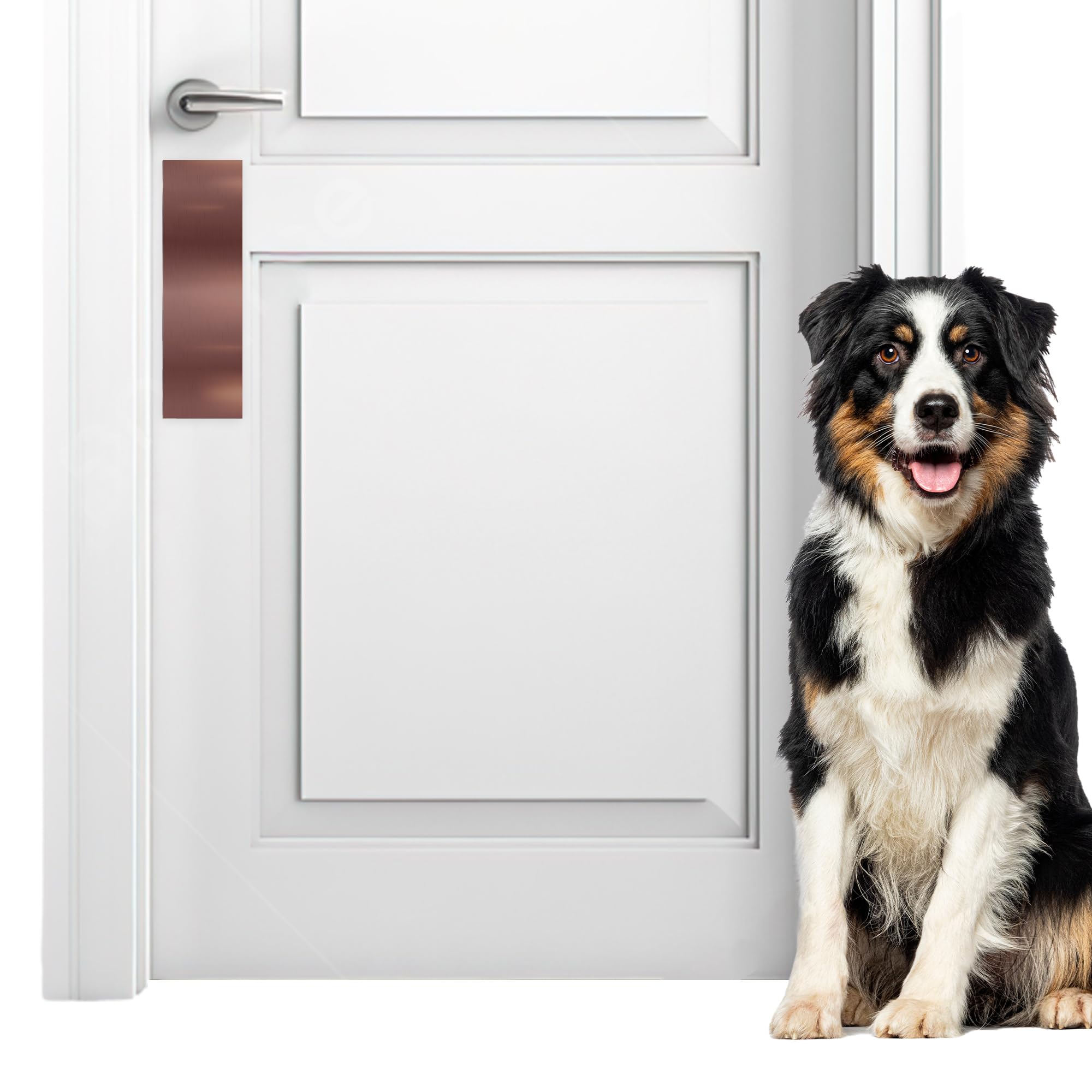 Panther Armor 4x12 Inch Door Bronze Push Plate, 1mm Thick Stainless Steel, Anti-Corrosive Metal Door Protector for Dog Scratching, Durable Push Plate