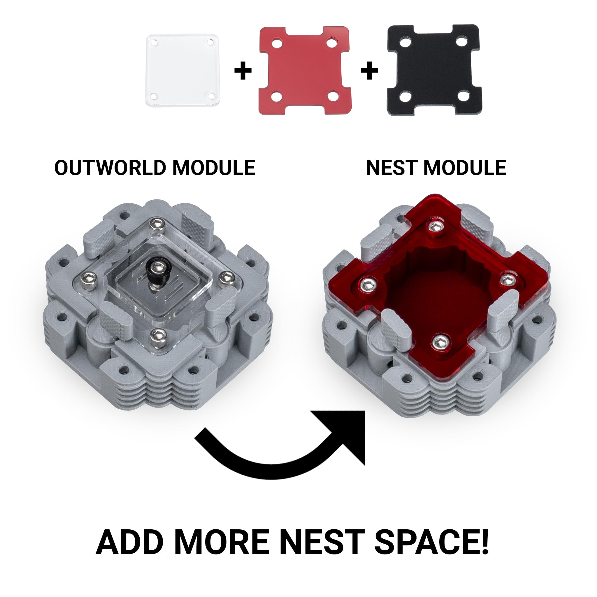Ameisen Pflegeset Mit Werkzeugen - Komplett-Set Für Ameisenfarm Einsteiger