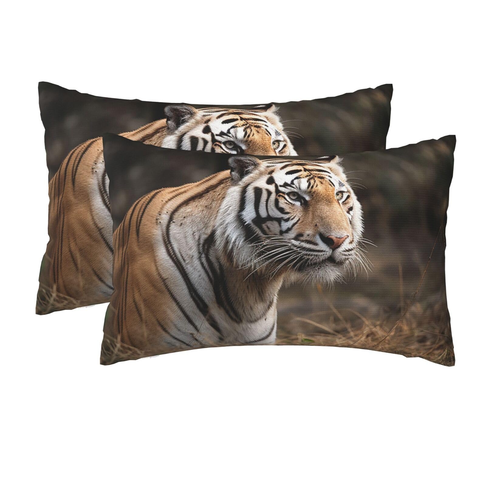 2 Pack Queen Pillow Cases with Hidden Zipper, Soft Breathable Pillow Covers for Hair and Skin, Wildlife Tiger Pillowcases 20"x30" Bed Pillow Protectors Cover for Sleeping Gifts