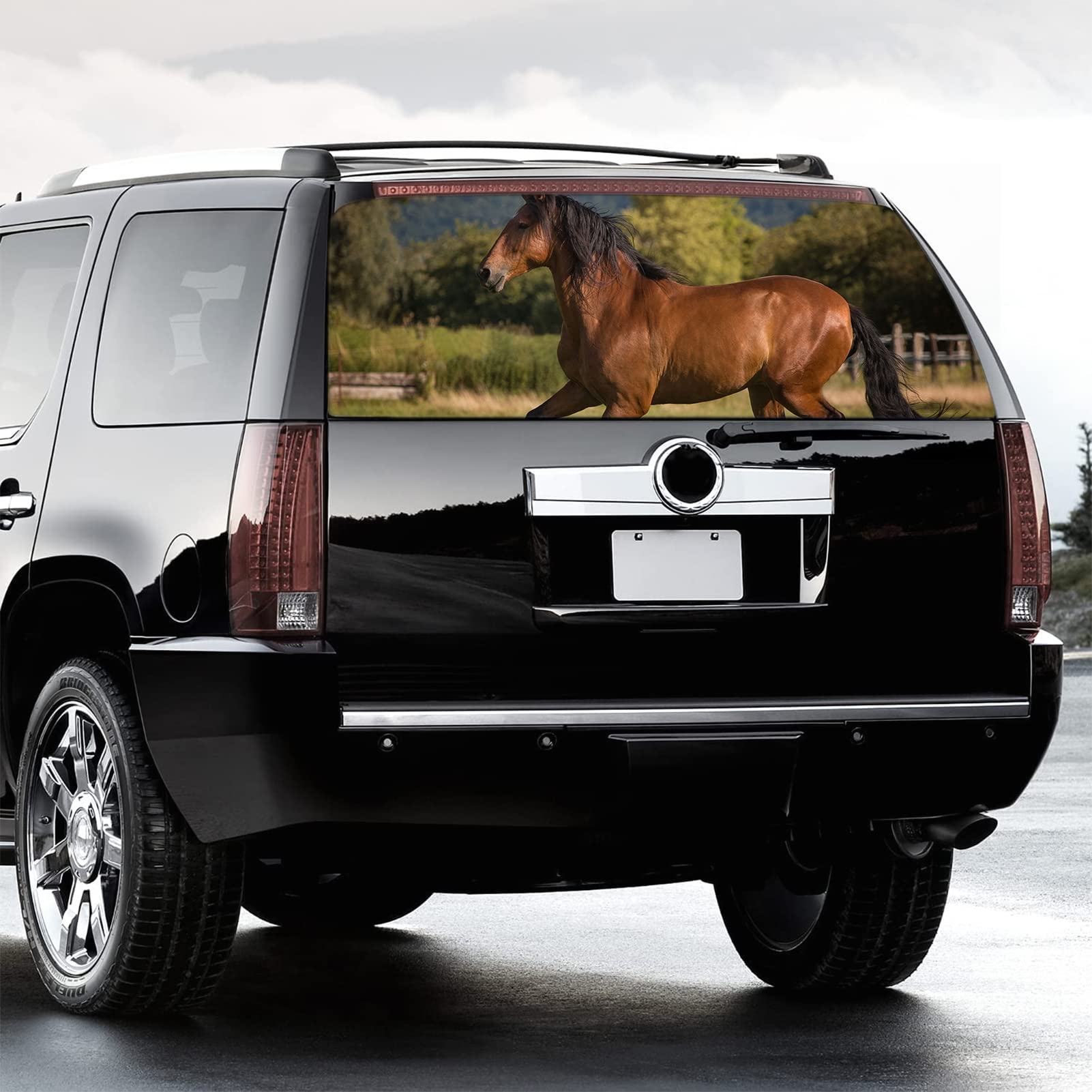 Personalizza le decalcomanie del parabrezza per porto posteriore per auto 3D per autore di decalcomanie per camion Decal Adesile per cavalli per cavallo DECORAZIONE AUTO CAMPIO PACCHUC,58x18 inch