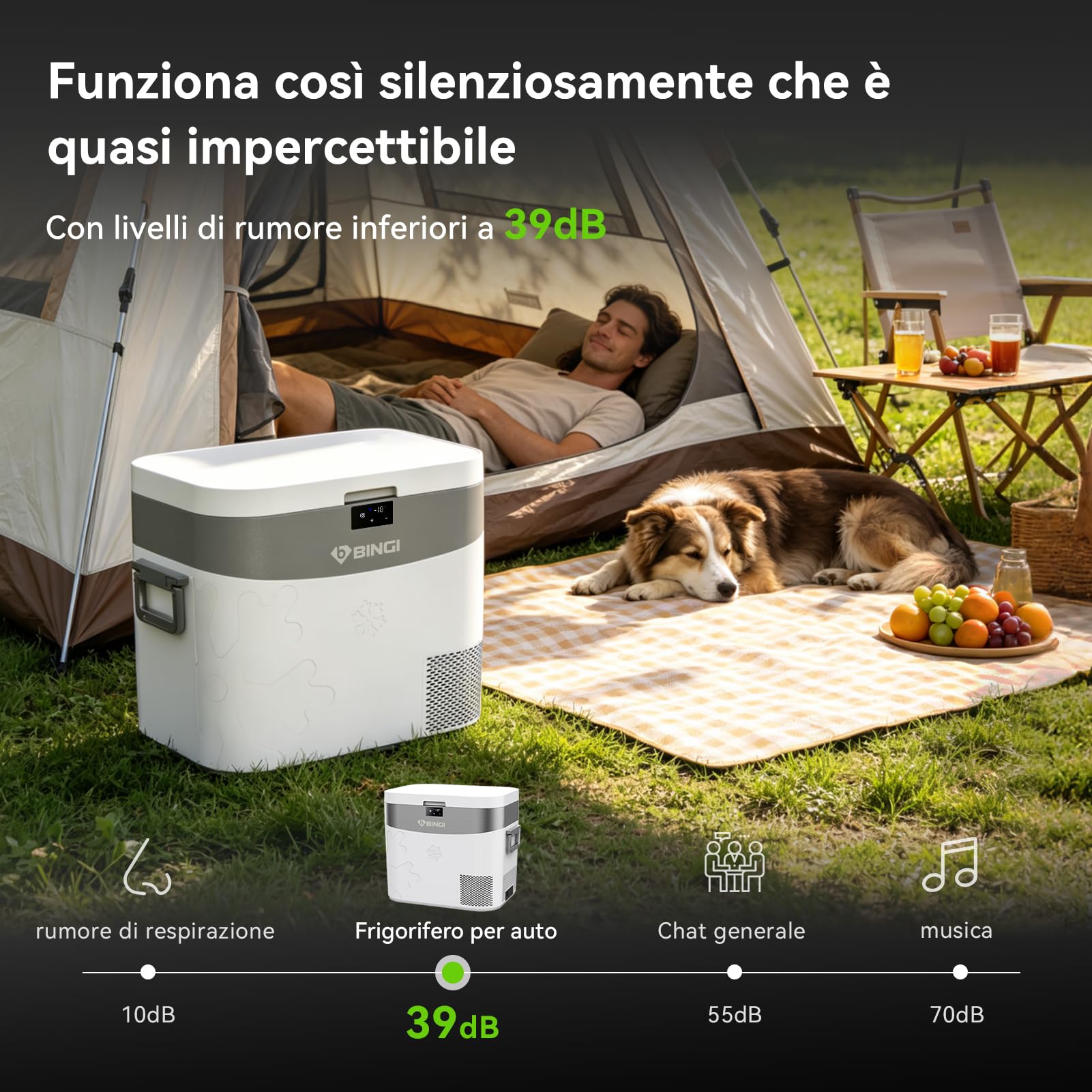 BINGI - Frigorifero con compressore, 22 l, mini frigorifero elettrico portatile, 12/24 V DC, congelatore elettrico portatile, per auto, camion, picnic, campeggio e uso domestico