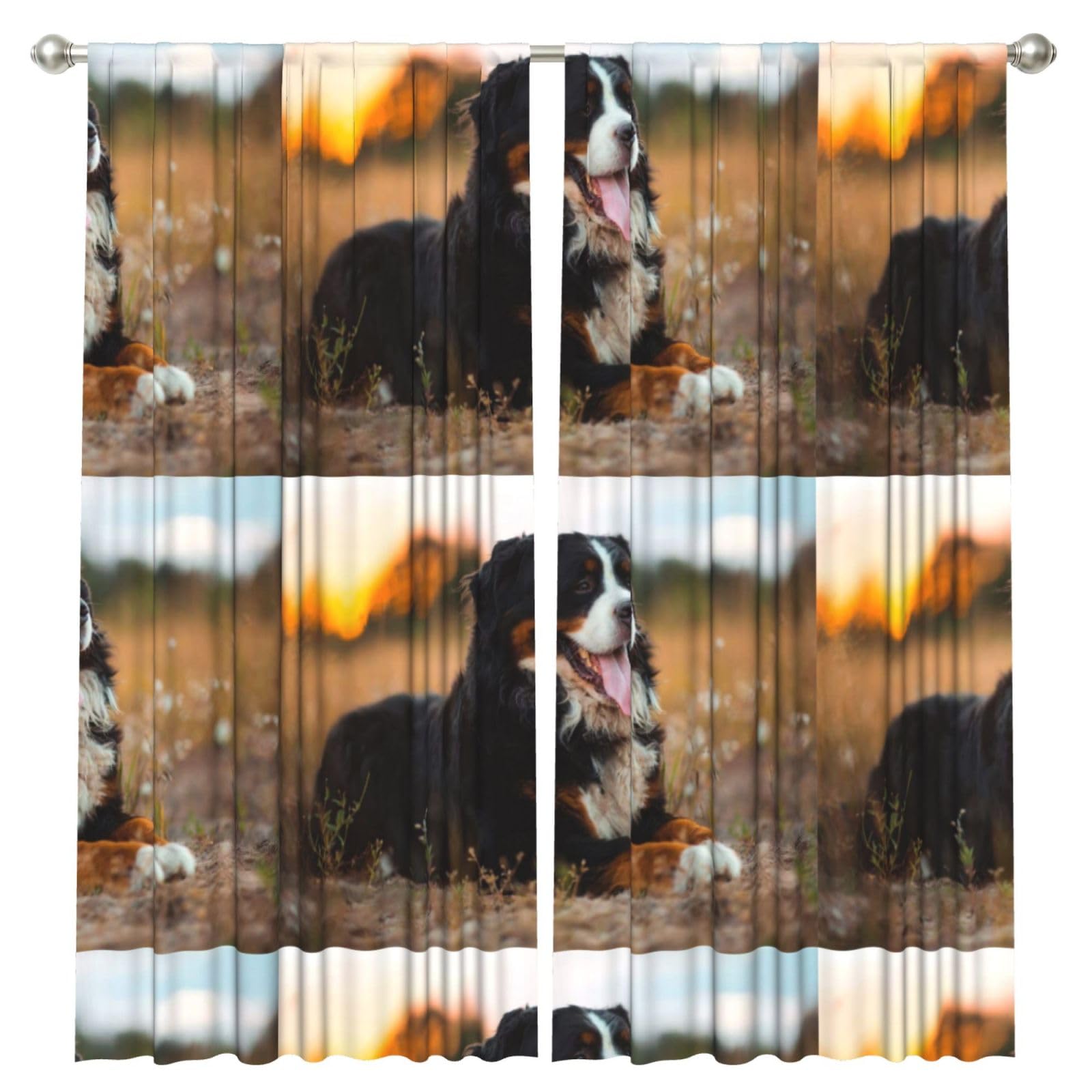 InOmak Bernese Mountain Dog, 2 Panels Window Curtains 52 x 84 Inch Blackout Curtains for Living Room Bedroom