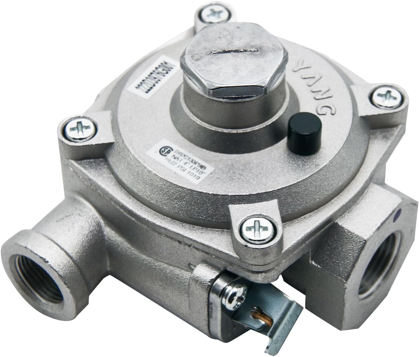 GE WB19K10055 Regulator Pressure