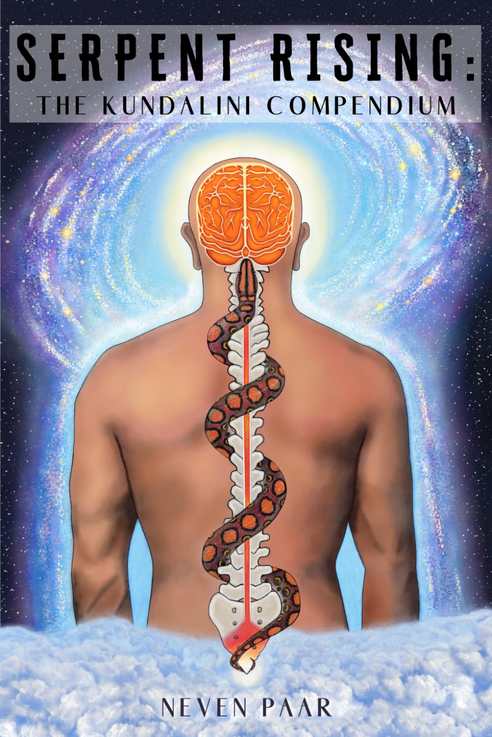 Serpent Rising: The Kundalini Compendium (Standard Edition-Lite): The World's Most Comprehensive Body of Work on Human Energy Potential      Paperback – June 13, 2023