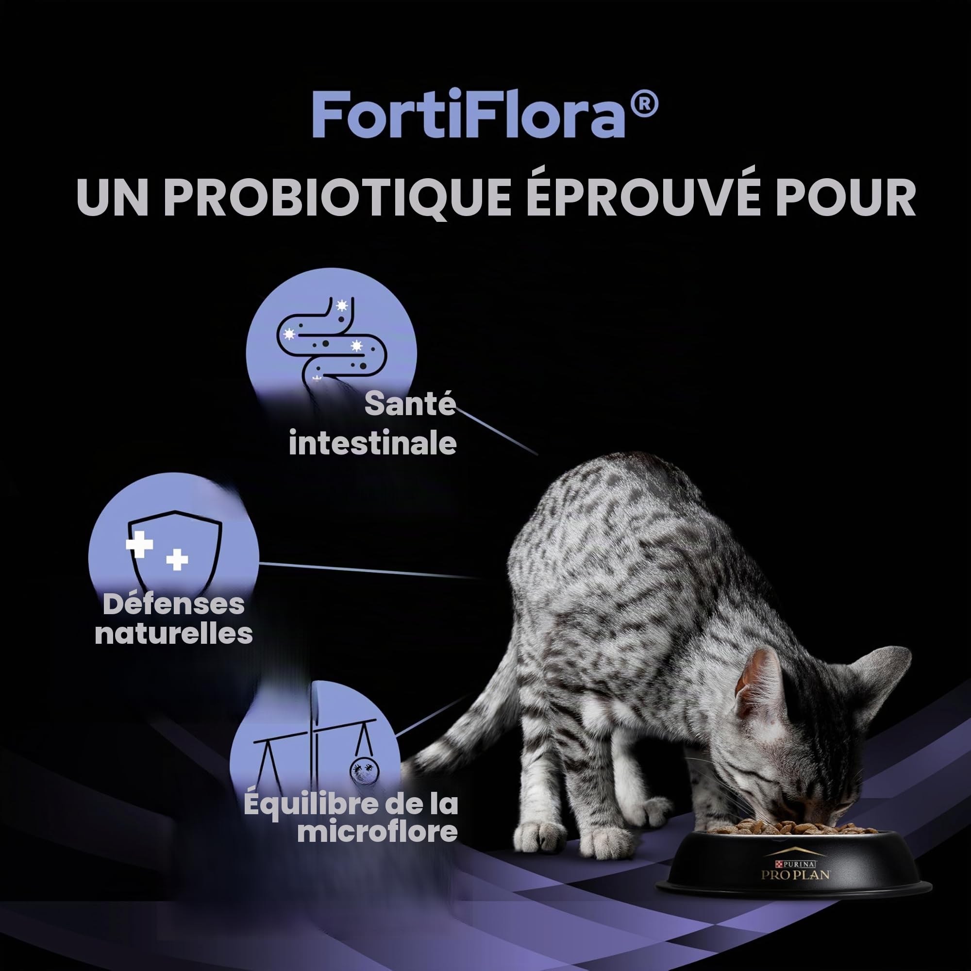 Pro Plan FortiFlora Sachet de probiotiques pour chat 30 x 1 g
