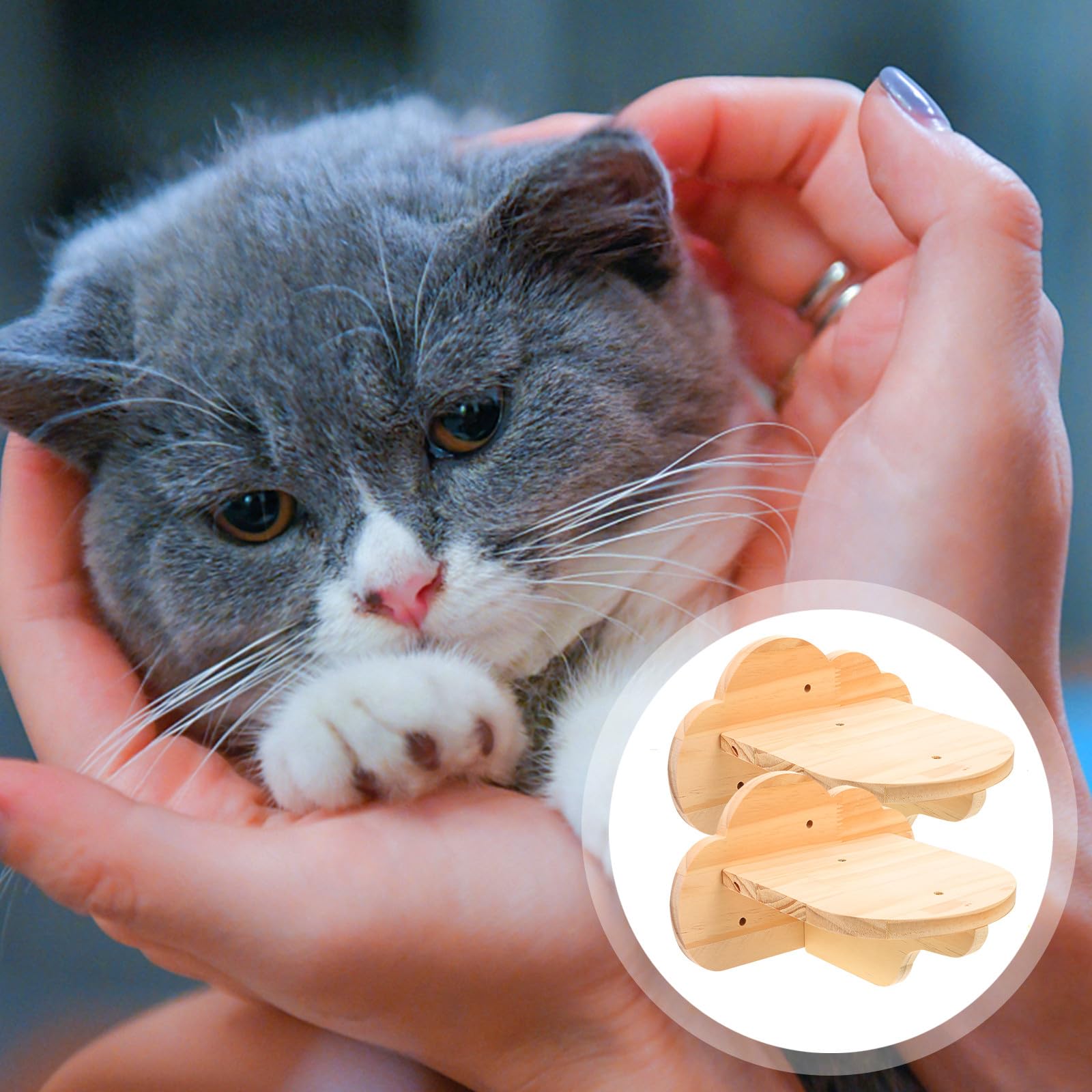 Mensole da Parete per Gatti 2 Pezzi in Legno Scala Robusta e Salvaspazio, Perfette per Casa o Negozio di Animali
