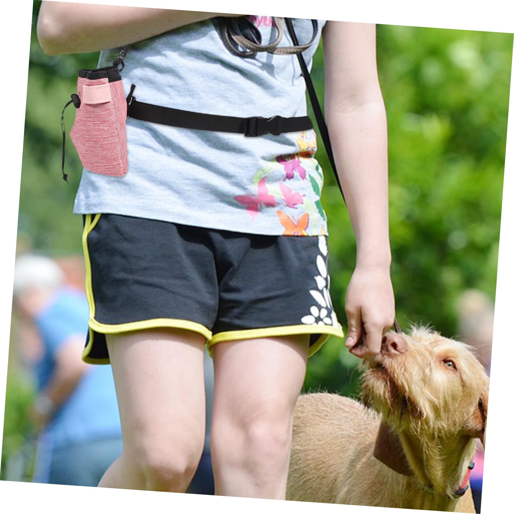 INOOMP 5piezas Bolsa De Entrenamiento para Perros Capacidad De Snacks Bolsa y Portátil para Paseos y Adiestramiento De Mascotas Accesorios para Dueños De Mascotas