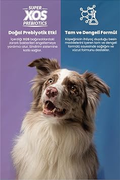 REFLEX PLUS Kuzulu Pirinçli Medium Yetişkin Köpek Maması 18 KG