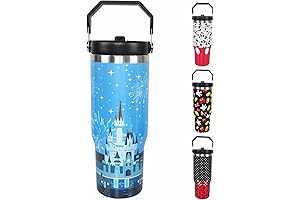 Charming Disney Castle Tumbler