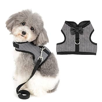Amazon | ZUNEA 犬用 ハーネス 小型犬 猫 ベスト ハーネス