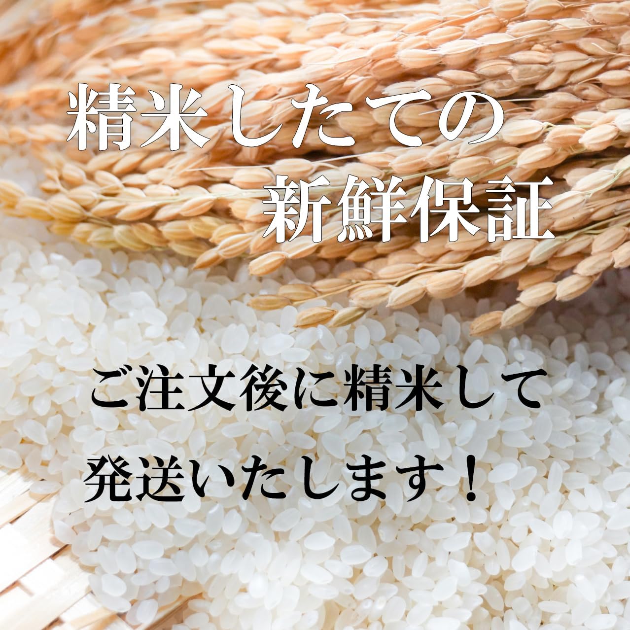 あさがお 新米 無農薬コシヒカリ5分づき20kg(5kg×4)令和5年産 あさがお 令和6年産新米 無農薬コシヒカリ5分づき20kg(5kg×4)