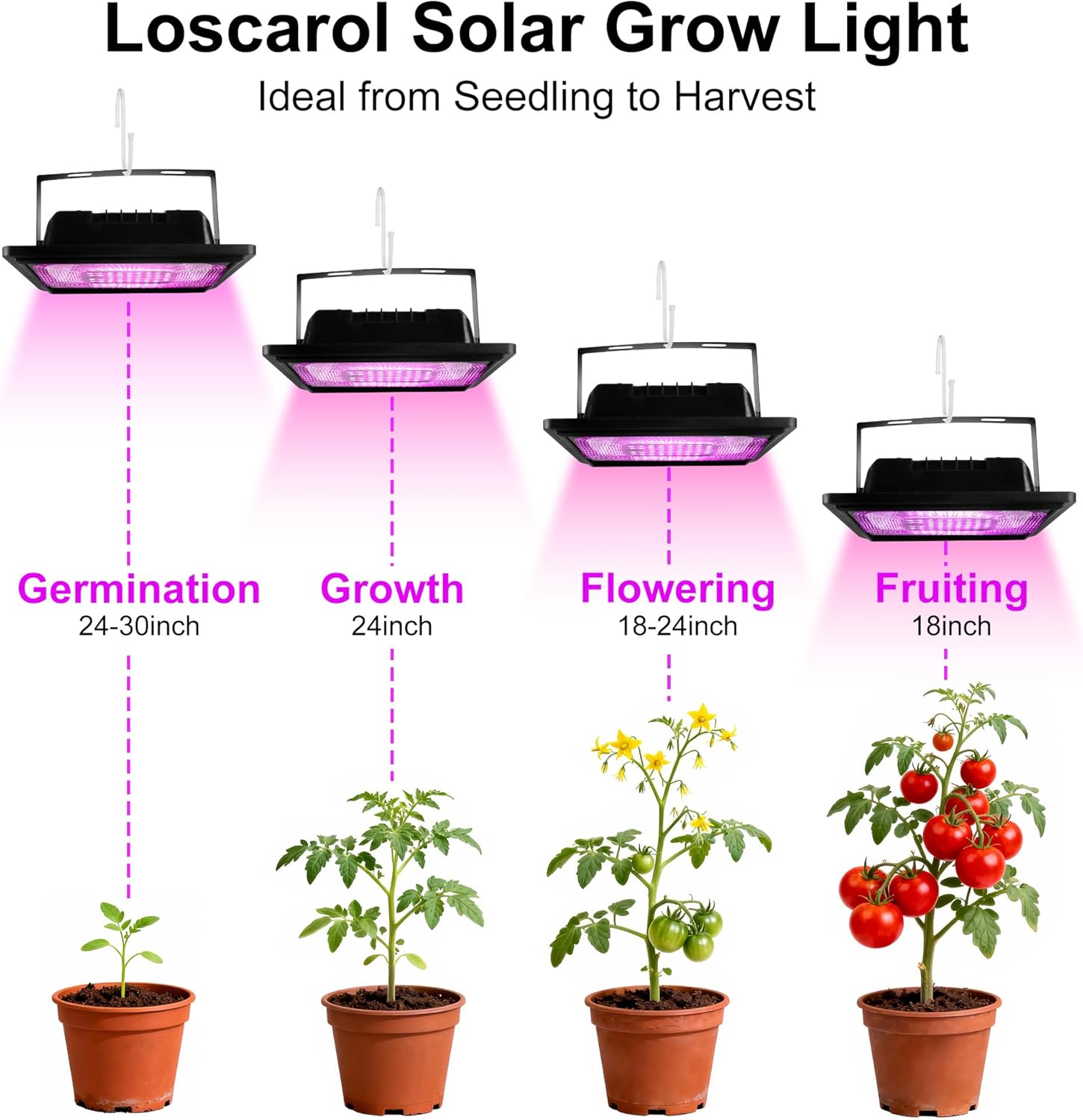 Loscarol Solar Grow Lights, Rechargeable Grow Light, Full Spectrum Plant Light for Indoor Outdoor Plants with Timer, Solar Plant Lights for Greenhouse with Remote Control and 16.4ft Cord/USB Charging