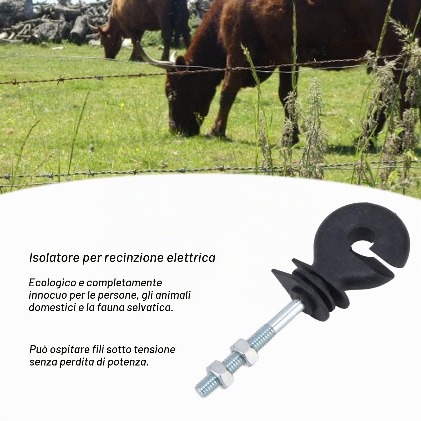 Isolante per Recinzione Elettrica per Zootecnia, 50 Pezzi M6 Chiodi Isolanti per Recinzione Elettronica Filettata Isolante per Recinzione Elettrica Vite in Isolante per Tetragono, Tubo Tondo