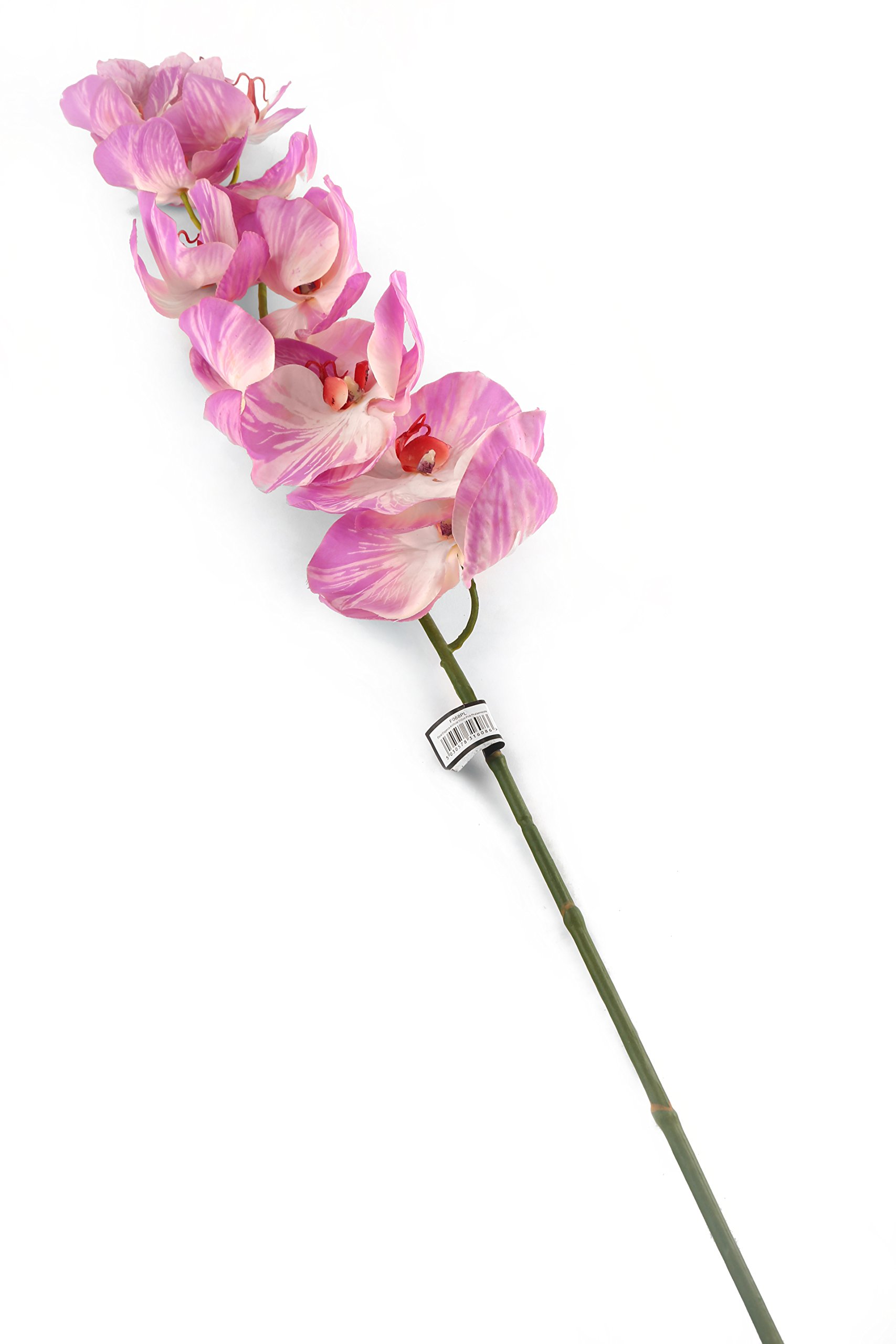 Floral Elegance Artificial 109cm Single Stem Lilac Phalaenopsis Orchids x 12