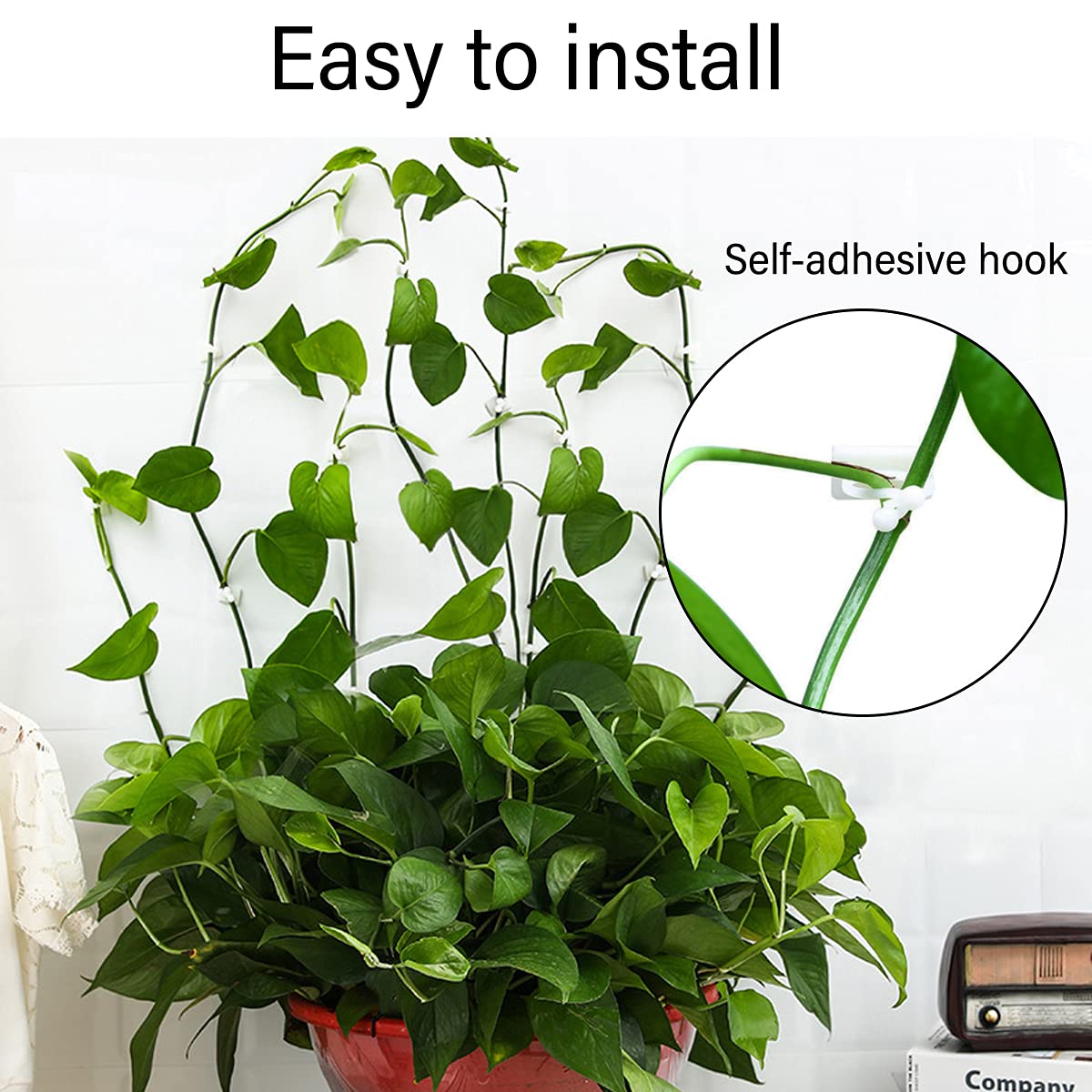 Clip Mural Pour Plantes Grimpantes, 20 Clips De Fixation