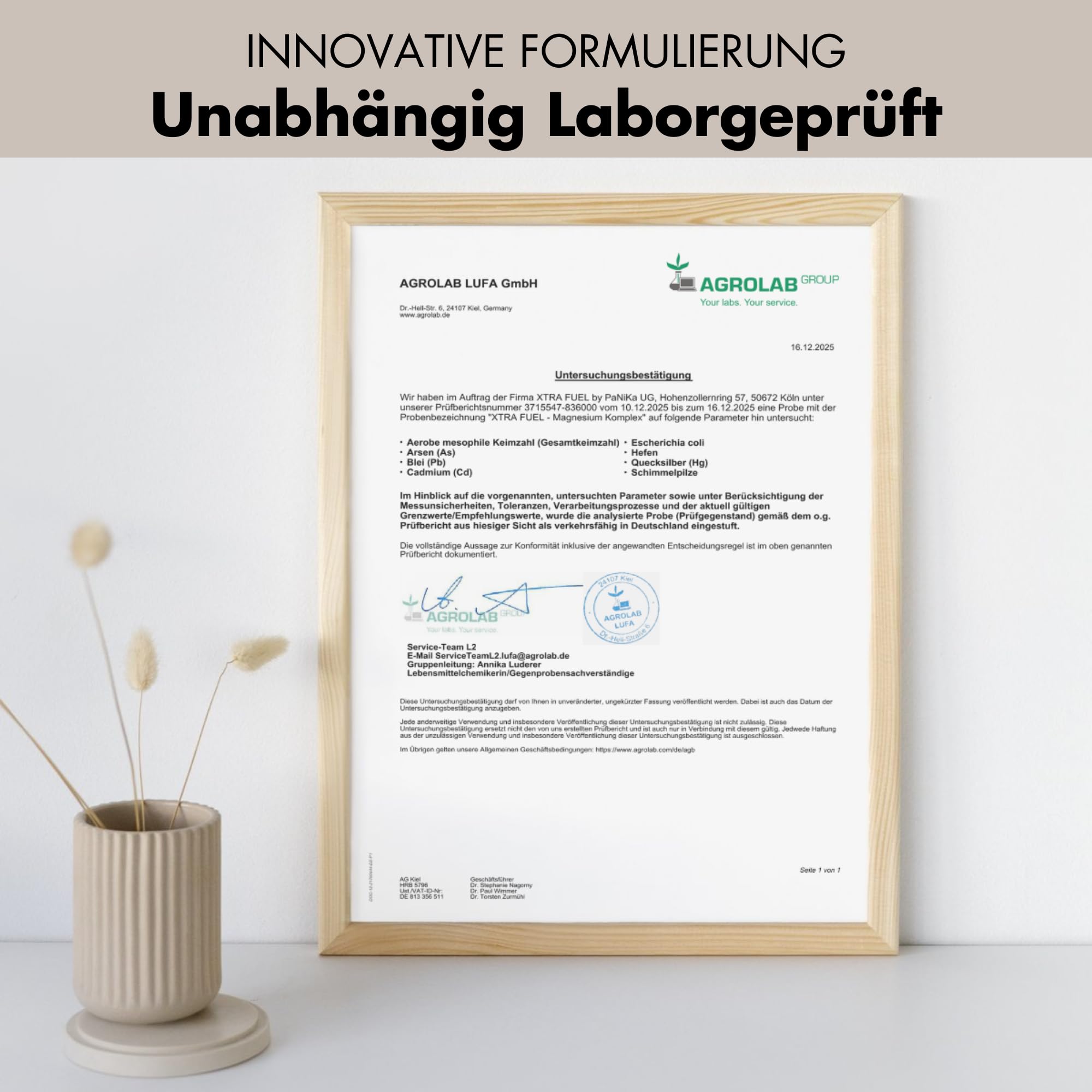 Magnesium Komplex hochdosiert - 720 Kapseln, 400 mg elementares Magnesium, 5-fach Komplex für Muskeln & Nerven aus Oxid, Citrat, Bisglycinat, Malat & Ascorbat – laborgeprüft & vegan