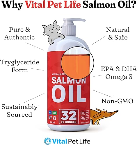 The 9 Best Omega 3 Fish Oil For Cats - BestForPets.org