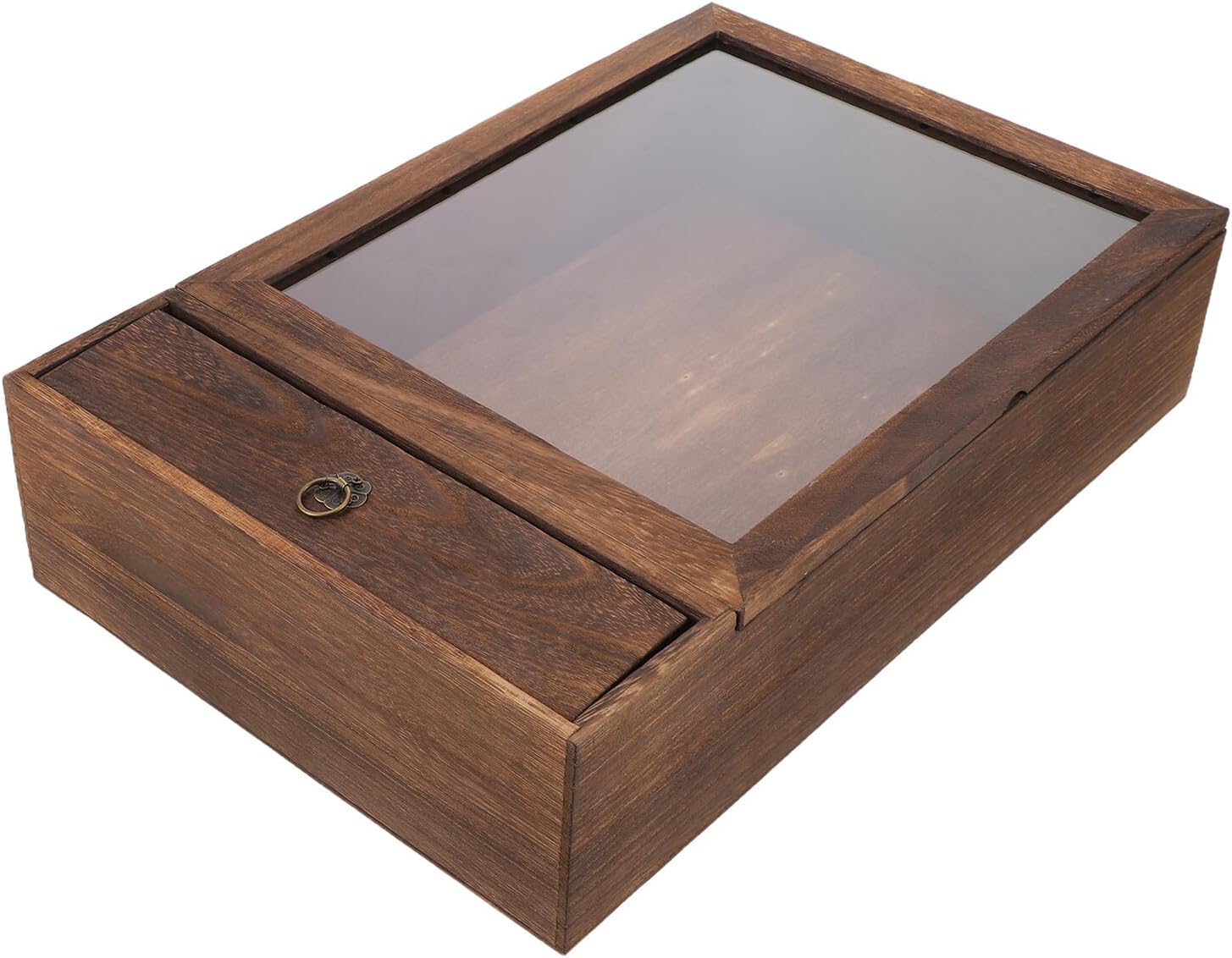 Wooden Insect Specimen Shadow Box Frame with Carbon Finish, Hollow Wall-Mounted Display Case for Butterfly and Dried Flower Collections, Small Wood Display Frame for Home Decor