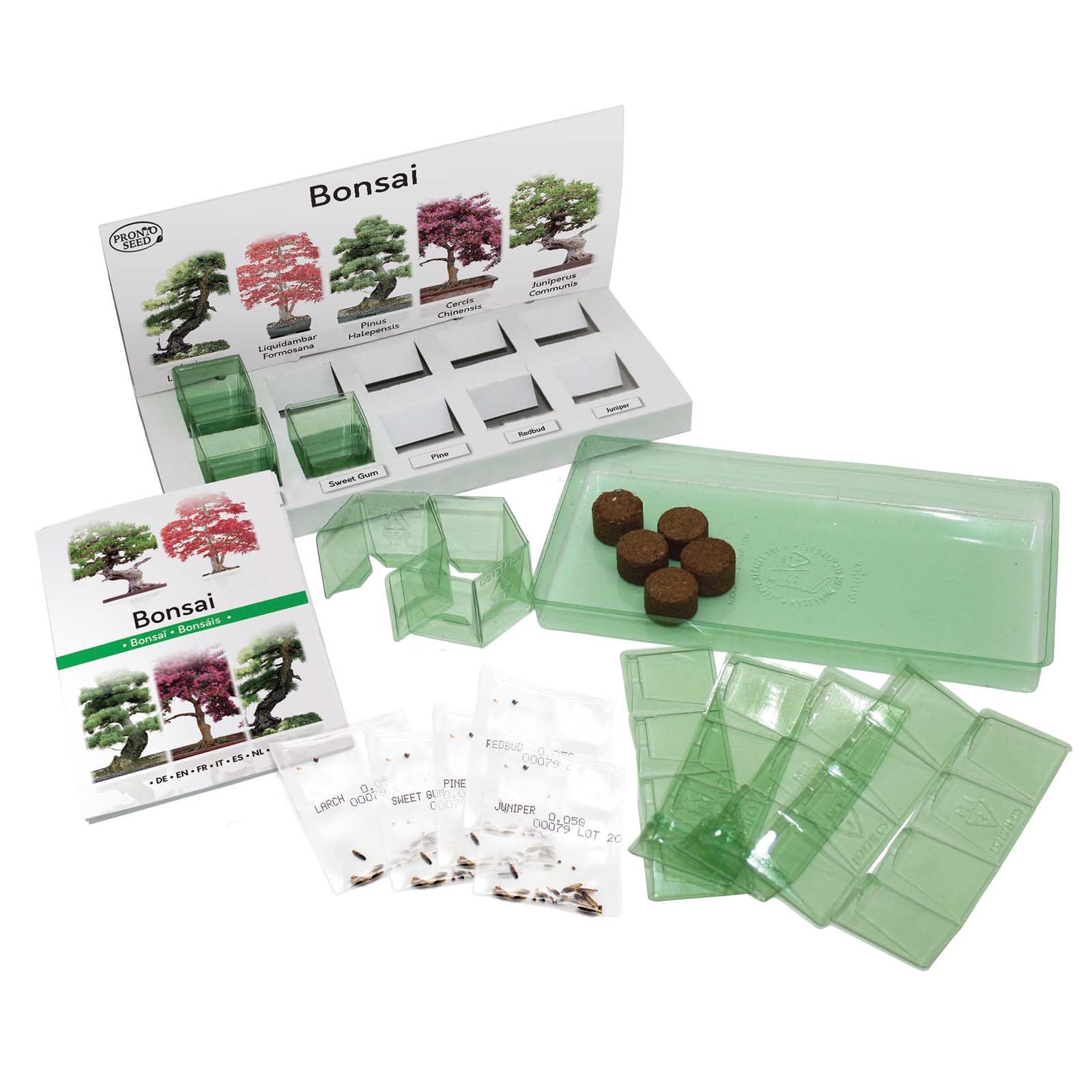 Pronto Seed – Kit zum Züchten eigener Bonsai-Bäume mit 5 Sorten Bonsai-Samen – Set für Indoor-Anzucht mit nachhaltiger Verpackung – Geschenk für Mann, Frau – anfängerfreundlich (Bonsai-Kit)