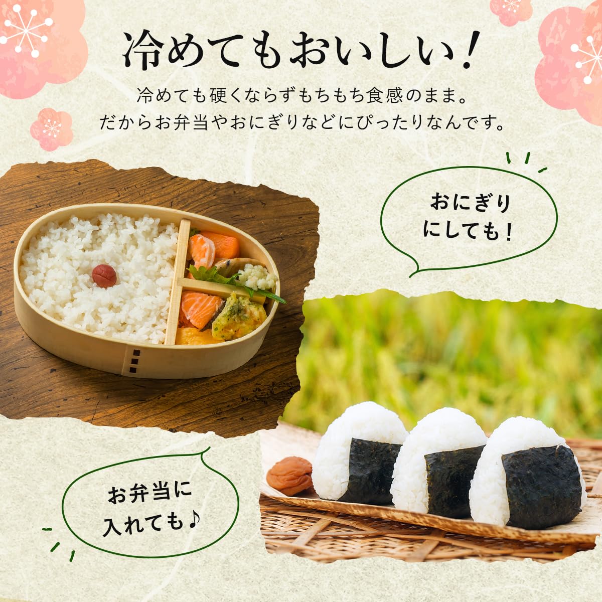 Amazon.co.jp: 野沢農産 新米 令和7年産 米 お米 無洗米 新潟県 魚沼産 