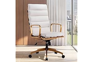 LuxMod Ergonomic High Back Leather Office Chair (GD-White)
