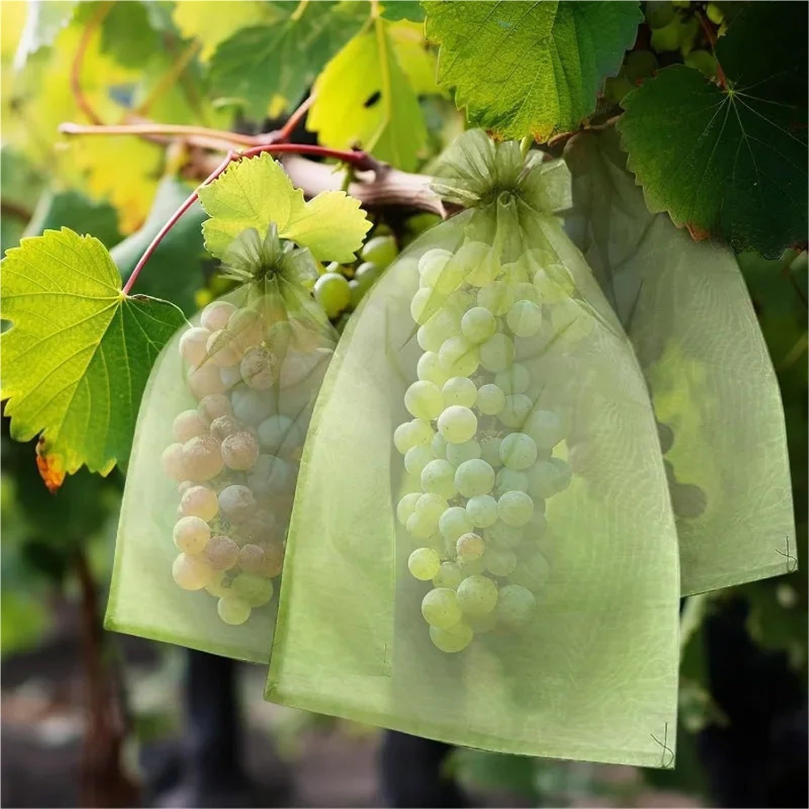 Organza-Fruchtschutzbeutel mit Kordelzug
