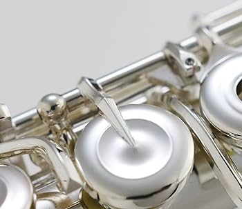 Amazon | Pearl パール フルート ドルチェ・プリモ F-DP/E #OF