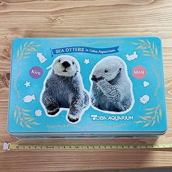 た*ま様 最安値 鳥羽水族館 メイセット(レア+ノーマル) た*ま様 最安値