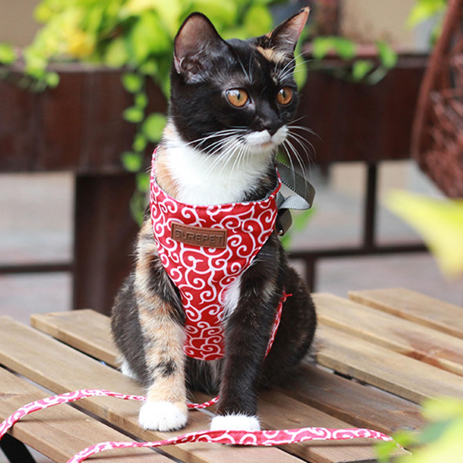 Grande gilet imbracatura guinzaglio set per gatti piccoli a prova di fuga regolabile e traspirante gattino gilet sicuro gatti attrezzature da passeggio