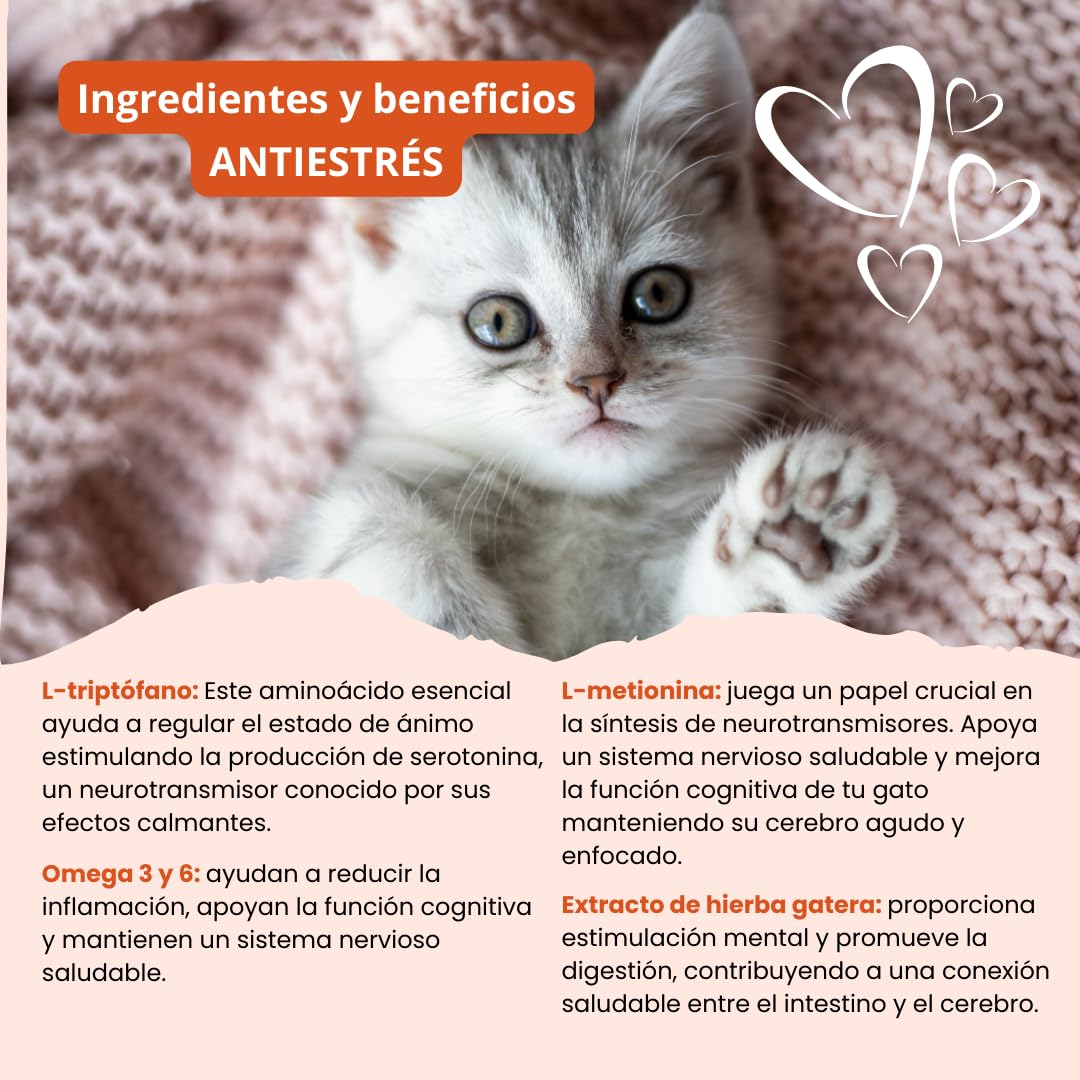Vitaminas para Gatos | Delicioso Complemento Alimenticio Calmante Gatos contra el Estrés | Natural Tranquilizante para Gatos | Mejora del Sistema Nervioso