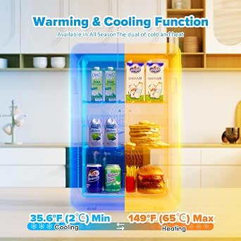 Mini Fridge 22L/30 Cans Portable Cooler & Warmer Mini Fridge for Bedrooms with Adjustable Shelves, AC+12V DC Small Fridges for Office, Car, Travel,Home, Skincare, Drinks & Cosmetics (Black) [Energy Class E]
