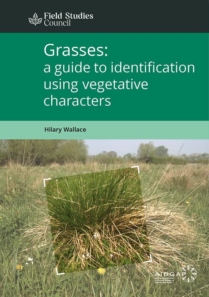 Grasses: A Guide to Identification Using Vegetative Characters (AIDGAP)