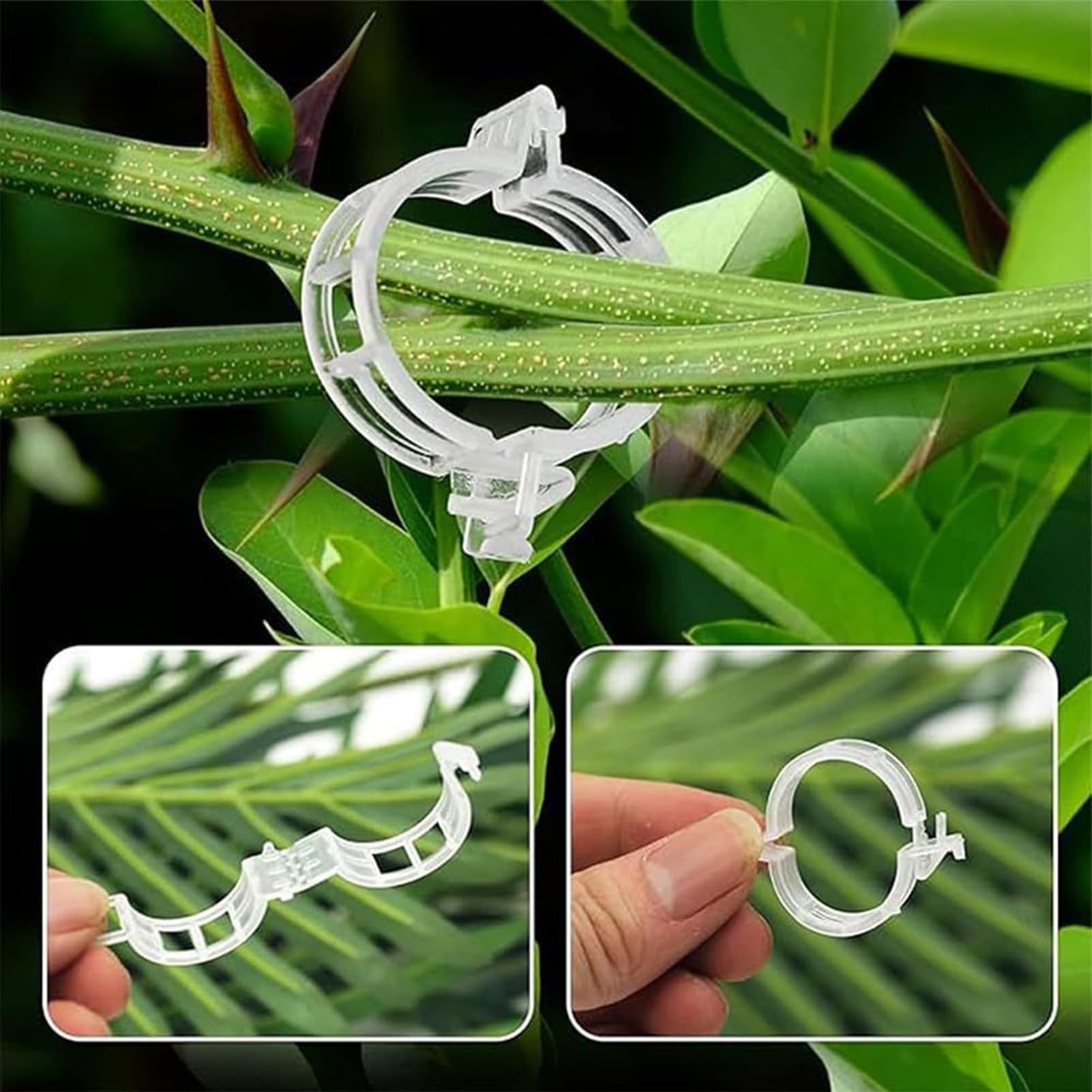 Ganci per Pomodori Anti-Pizzicamento Supporto Robusto | 40 Ganci Per Rampicanti, Fiori E Piante Per Cetrioli, Frutta, Colture, Interno Ed Esterno, Giardino, Fattoria, Patio, Serra