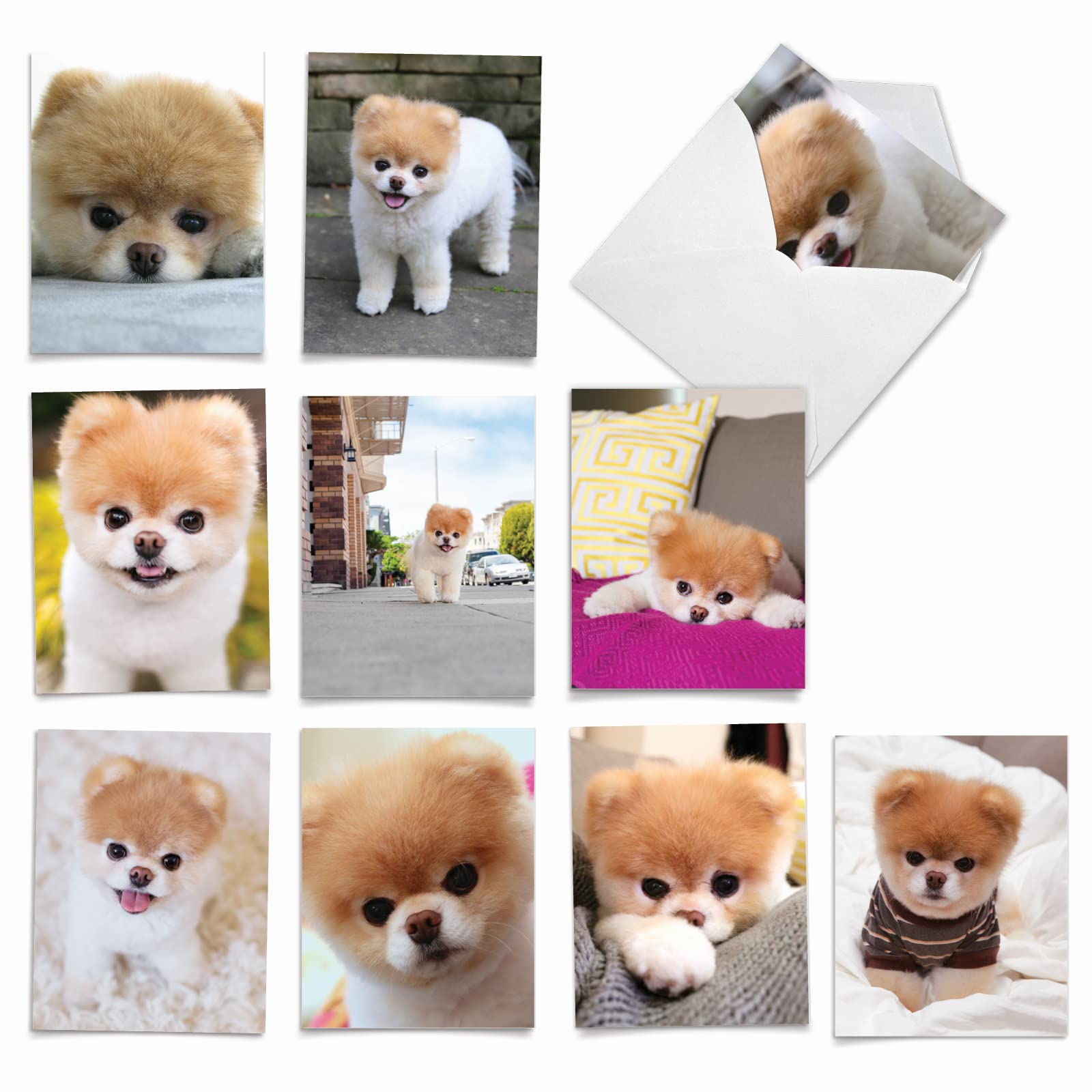 Best Card Co 10 Mini Assorted Notecards Cute Pom Dog AM6755OCB-B1x10-NB