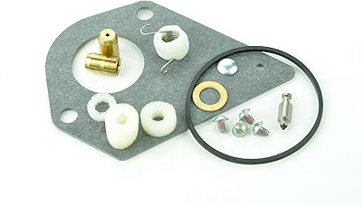 Briggs & Stratton 498116 Carburetor Overhaul Kit