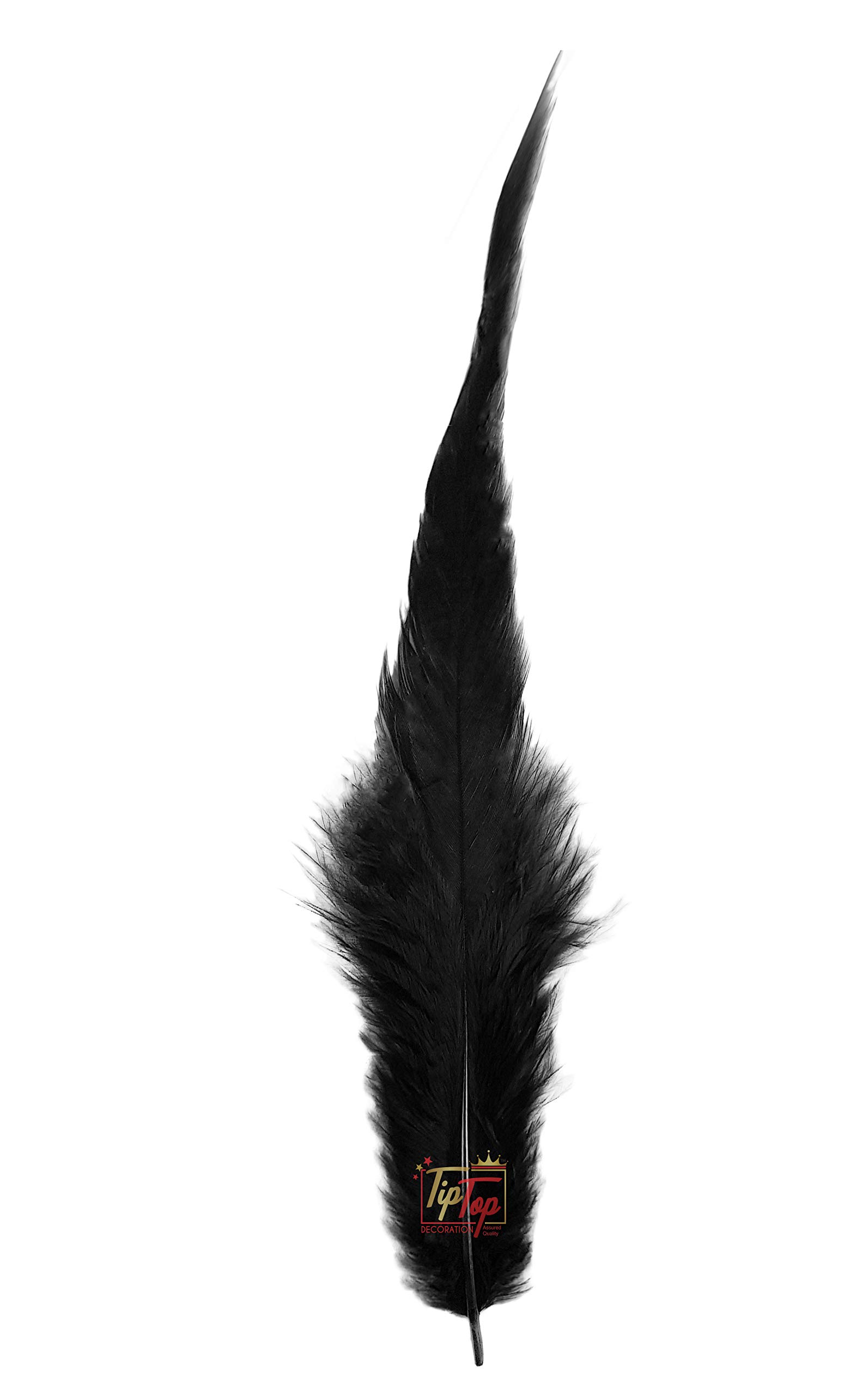 Tiptop Decoration Natural Dyed Pointed Feathers (10-15 Cm) (50 Pieces) (Raven Black)-image-31