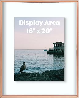 Golden State Art, 16x20 Floating Frame, Rose Gold Aluminum Picture Frame, Clear Glass Display Any Size Photo Up to 16x20, Home Gallery Wall Decoration, Display Horizontal and Vertical