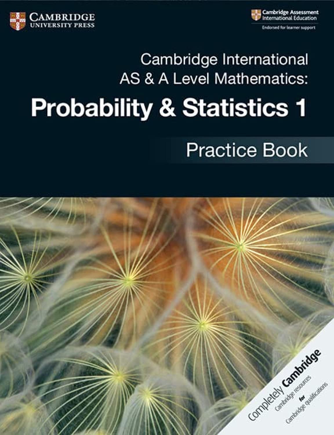 Cambridge International AS & A Level Mathematics: Probability & Statistics 1 Practice Book Paperback – Big Book, 21 June 2018