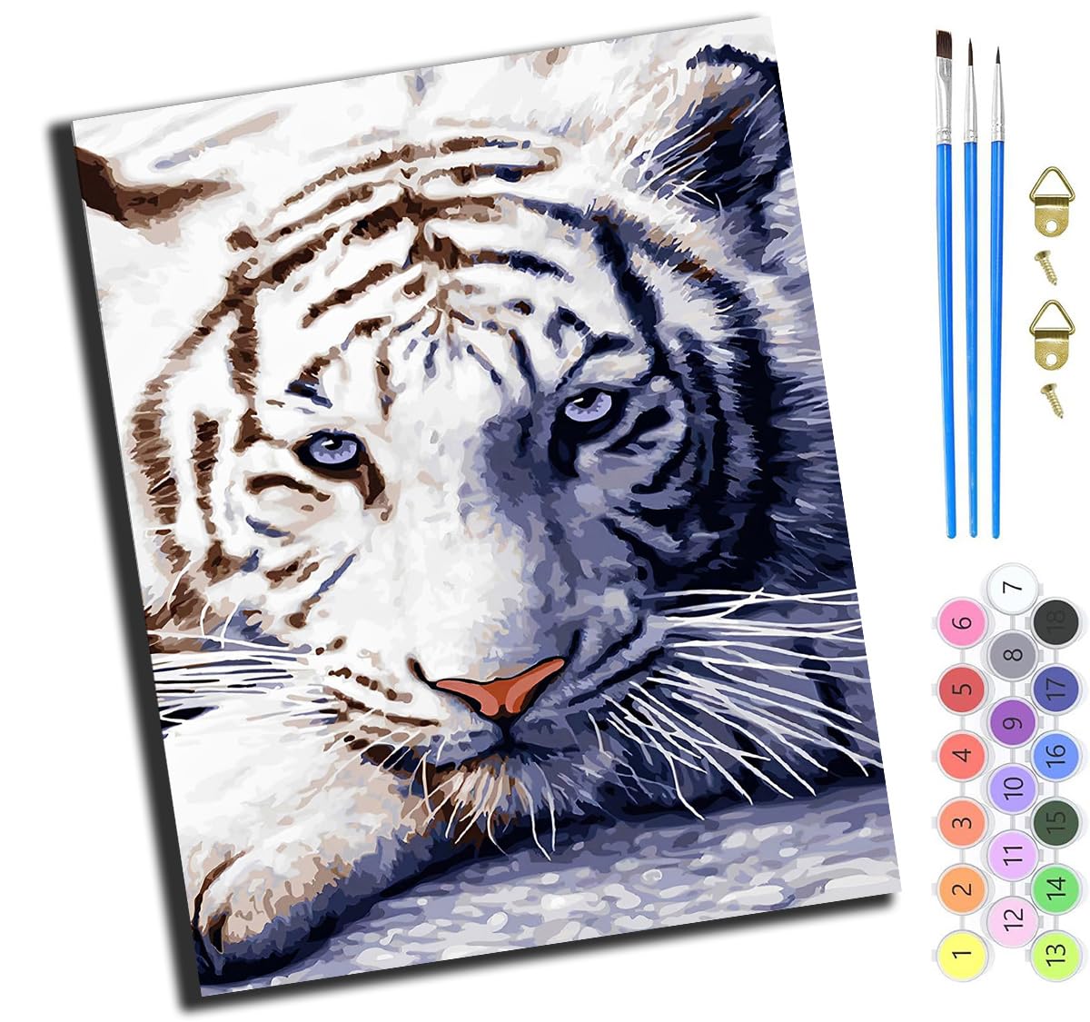 XIAOYOUQIAN Animal White Tiger,Paint by Numbers Kits,40Cm X 50Cm,DIY Acrylic Painting for Adults and Kids,with Paints Brushes and Card Sized Magnifier,with Frame