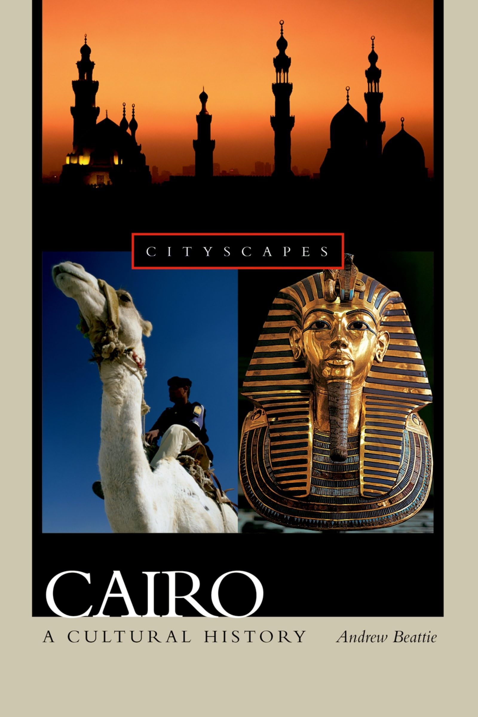 Cairo: A Cultural History (Cityscapes) (Cityscapes (Hardcover))