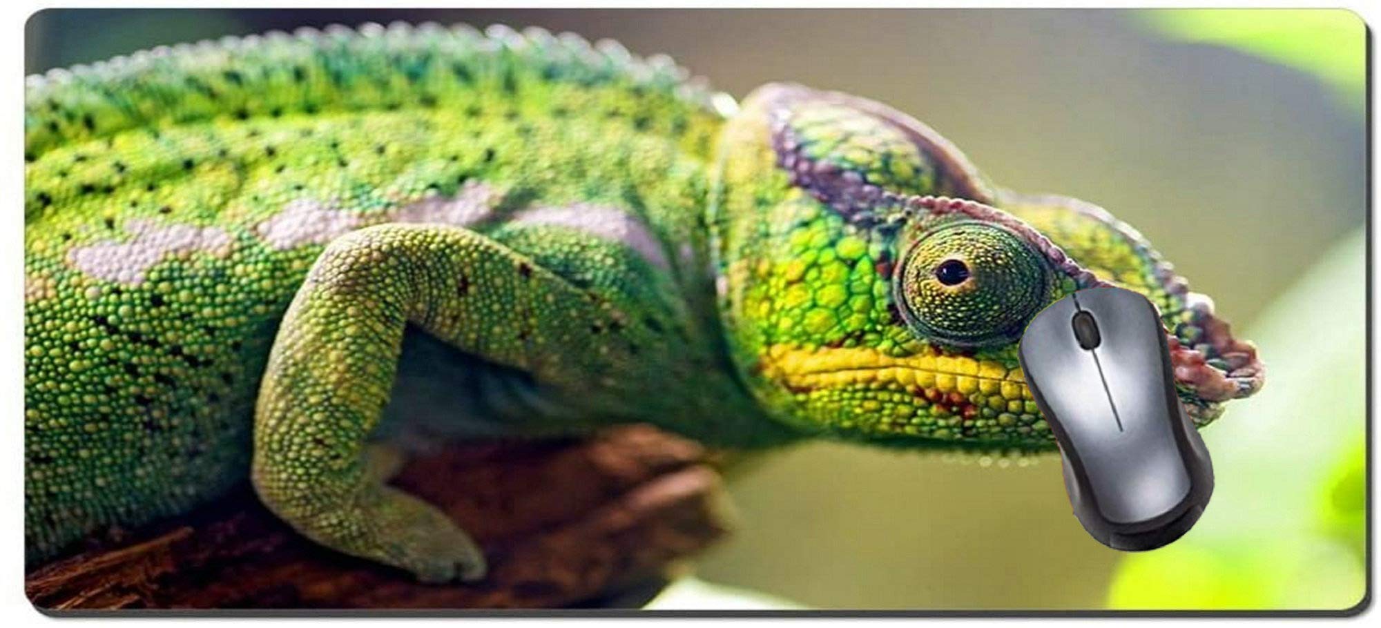 XXL Large Size Mouse Pads,Eye Chameleon Animal Picture Game Office Large Mouse Pad
