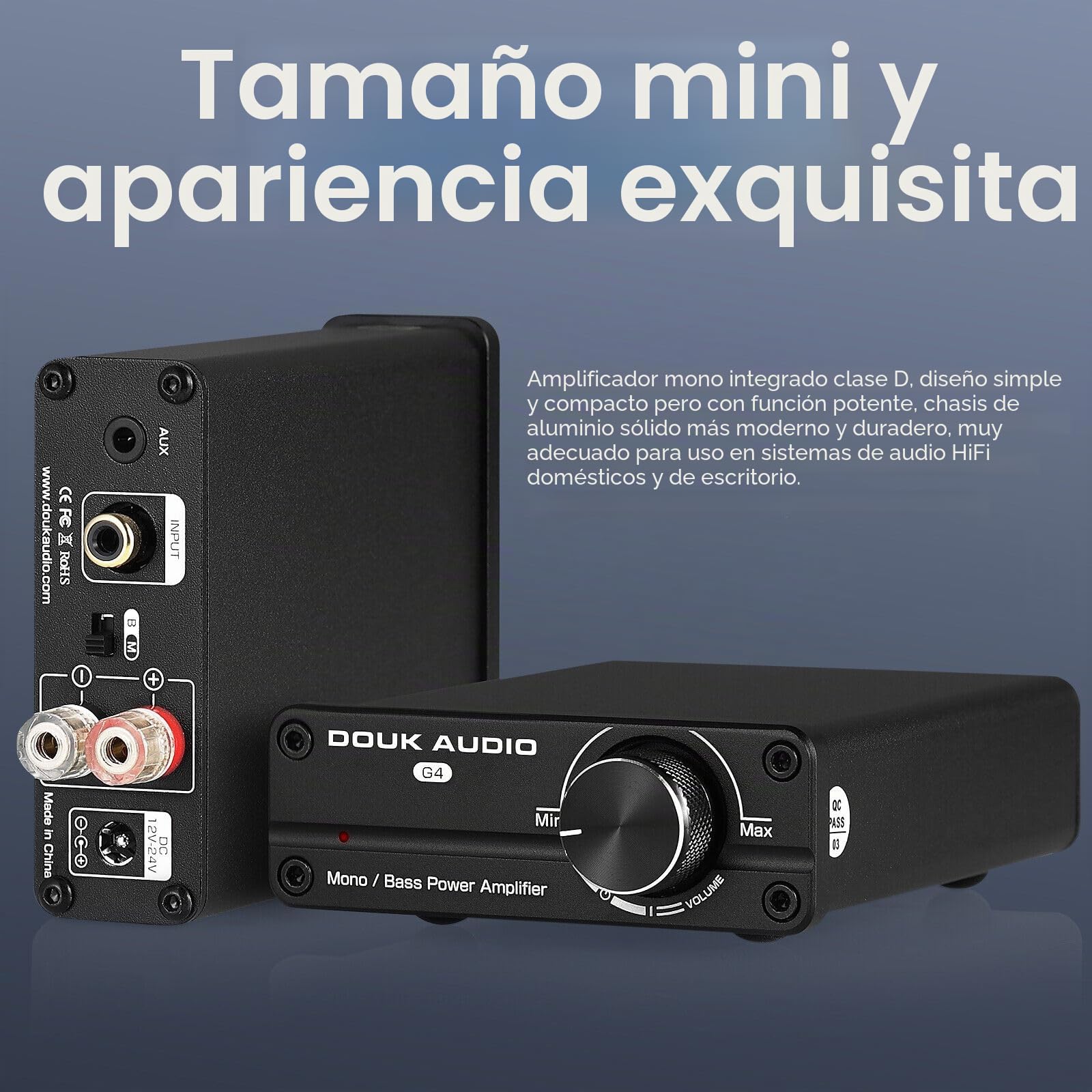 Mini subwoofer/frecuencia de un solo canal Amplificador de potencia Mono Amplificador de potencia Amplificador de subwoofer Amplificador