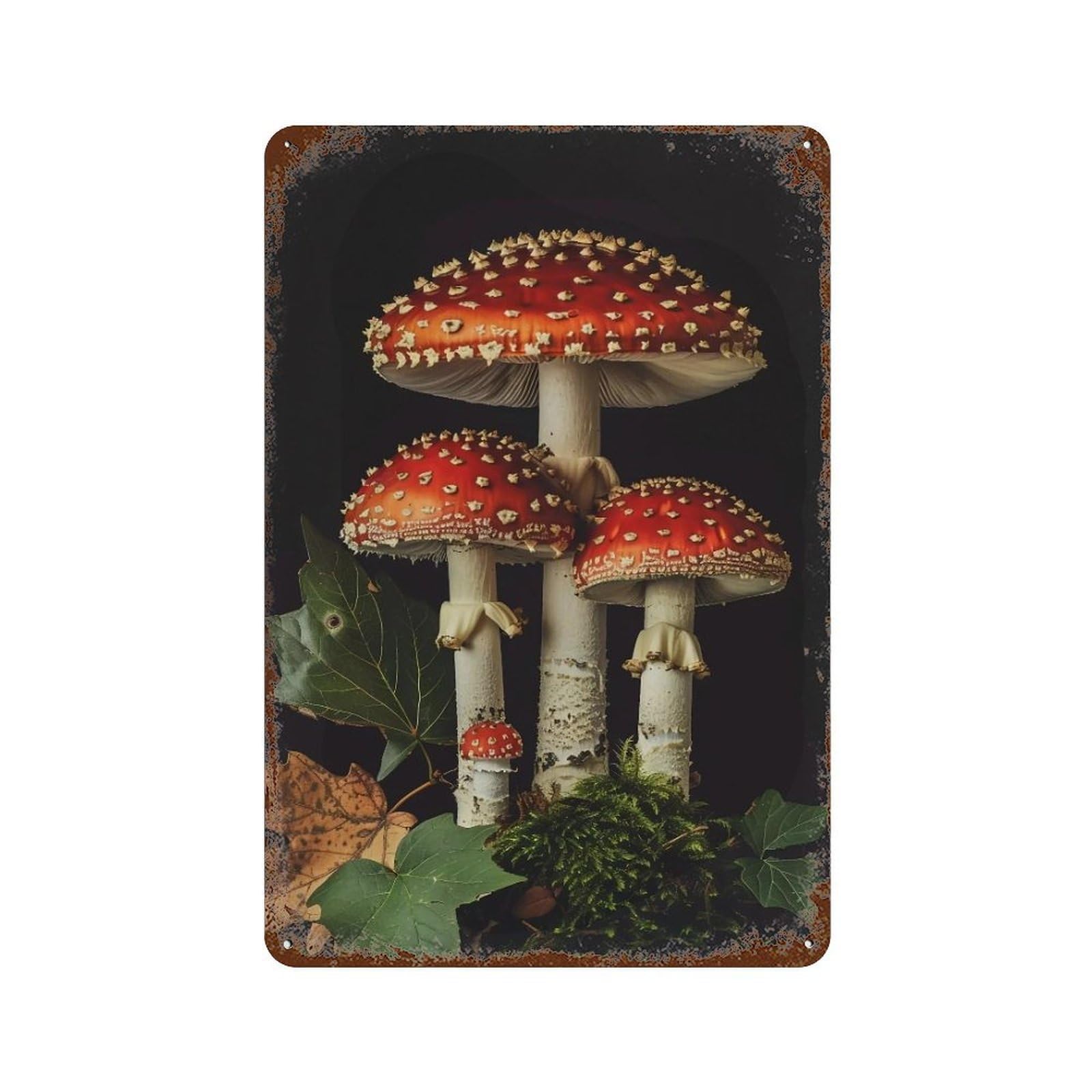 HDURYEYRYY Dark Forest Amanita Muscaria 02 Wall Retro Iron Vintage Art Metal Tin Sign Poster Modern Home Cofffee Club Art Bar Shop Decor 30x20cm
