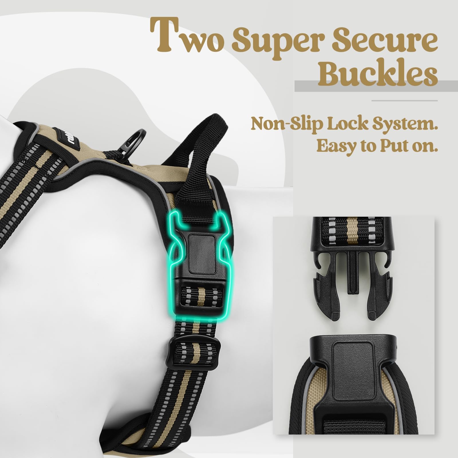 Amazon.com : rabbitgoo Dog Harness No Pull with 2 Leash Clips